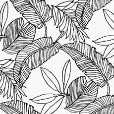 White/Black swatch Tropical Breeze Wallpaper