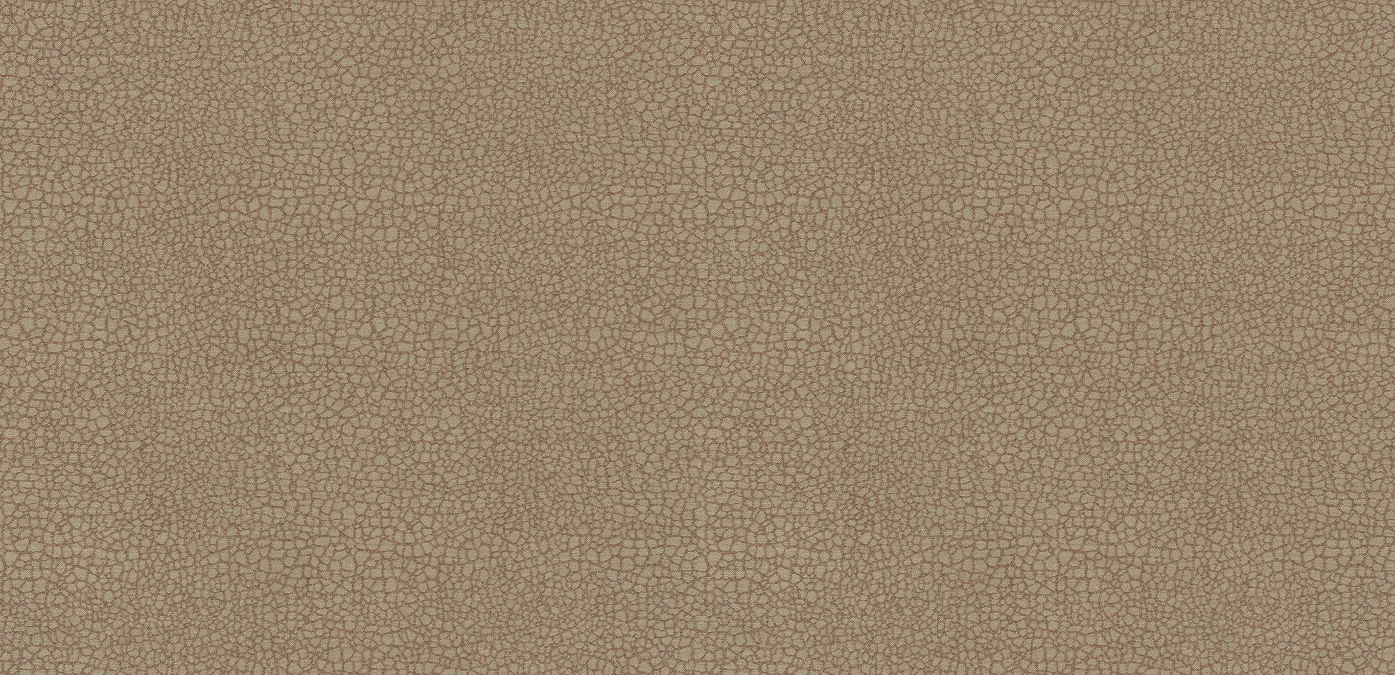 mobile primary image