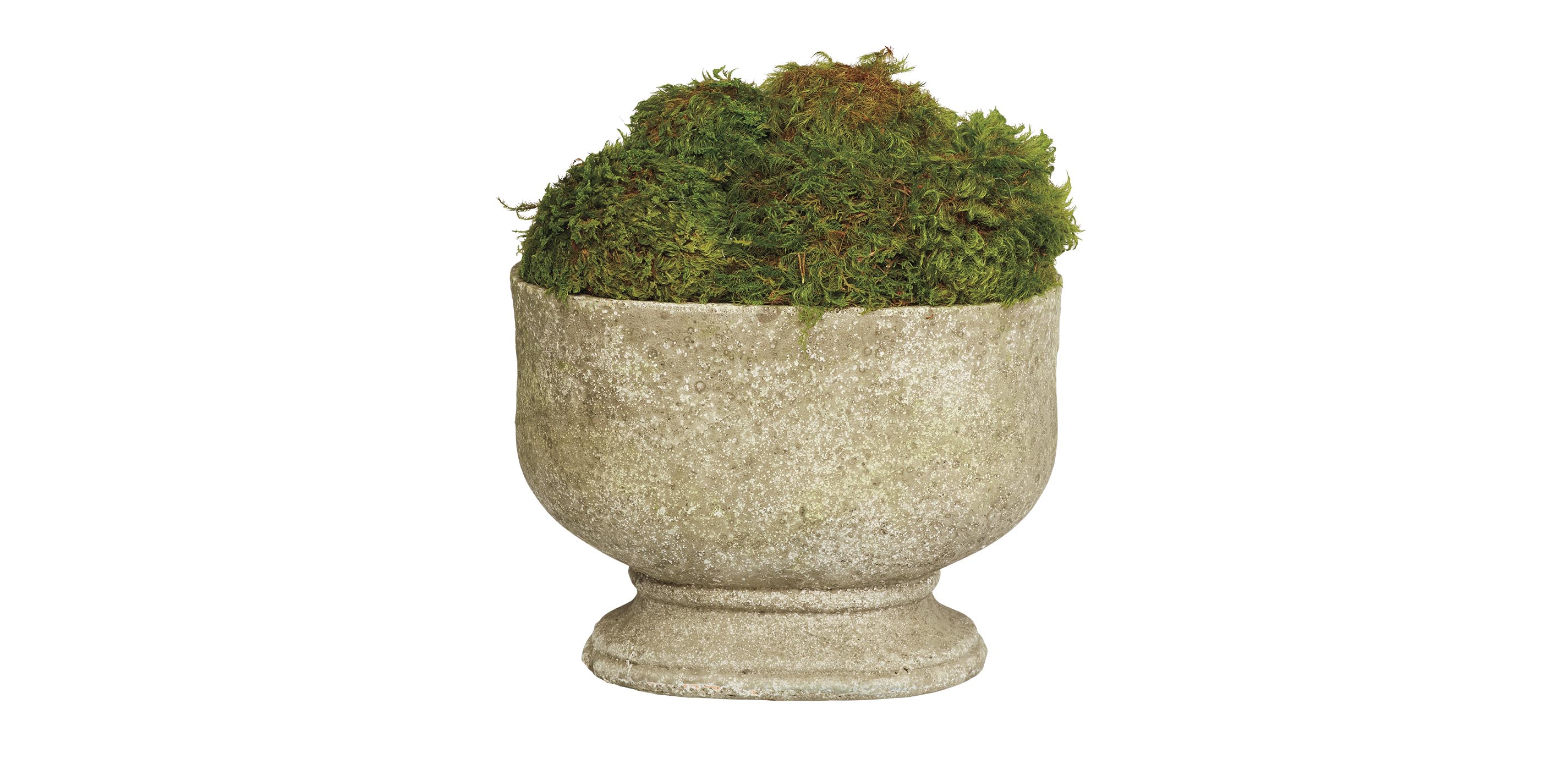Moss in Oval Stone Planter | Fake Moss | Artisan Cachepot | Ethan