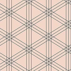 Pink/Black swatch Ray Wallpaper