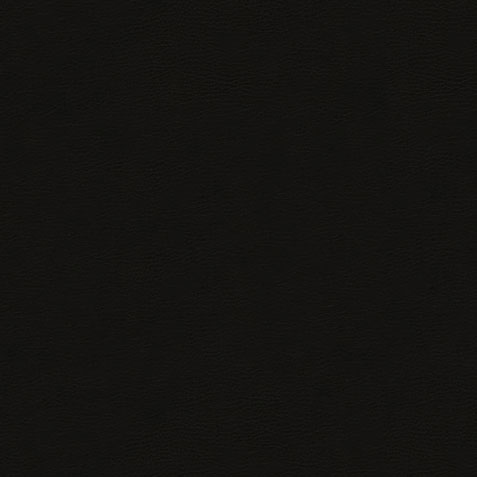 Anson Black Leather Swatch