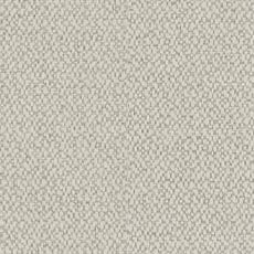 Ravine Silver (85253): chunky woven texture swatch Ravine Fabric