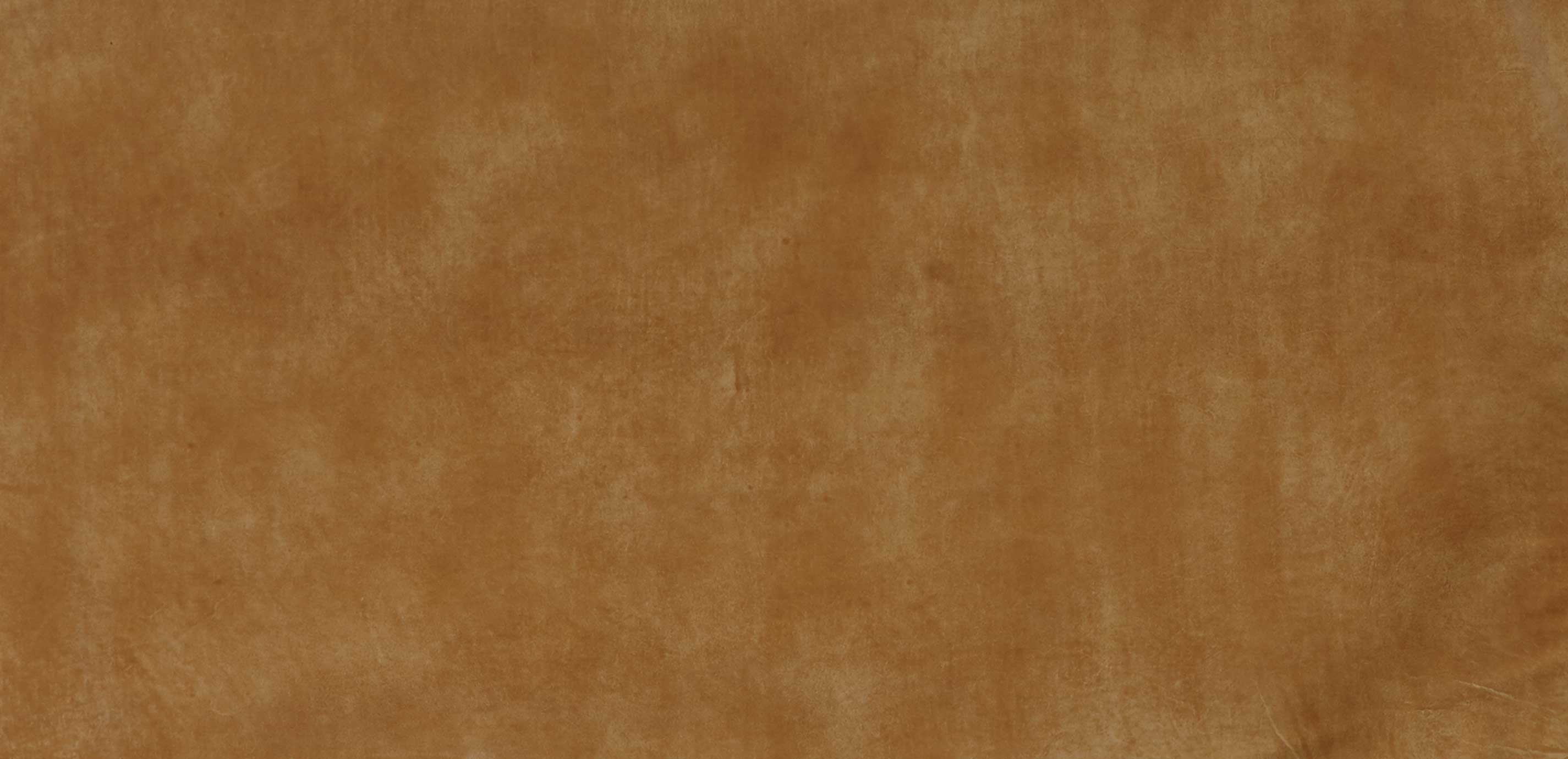 camel leather paint