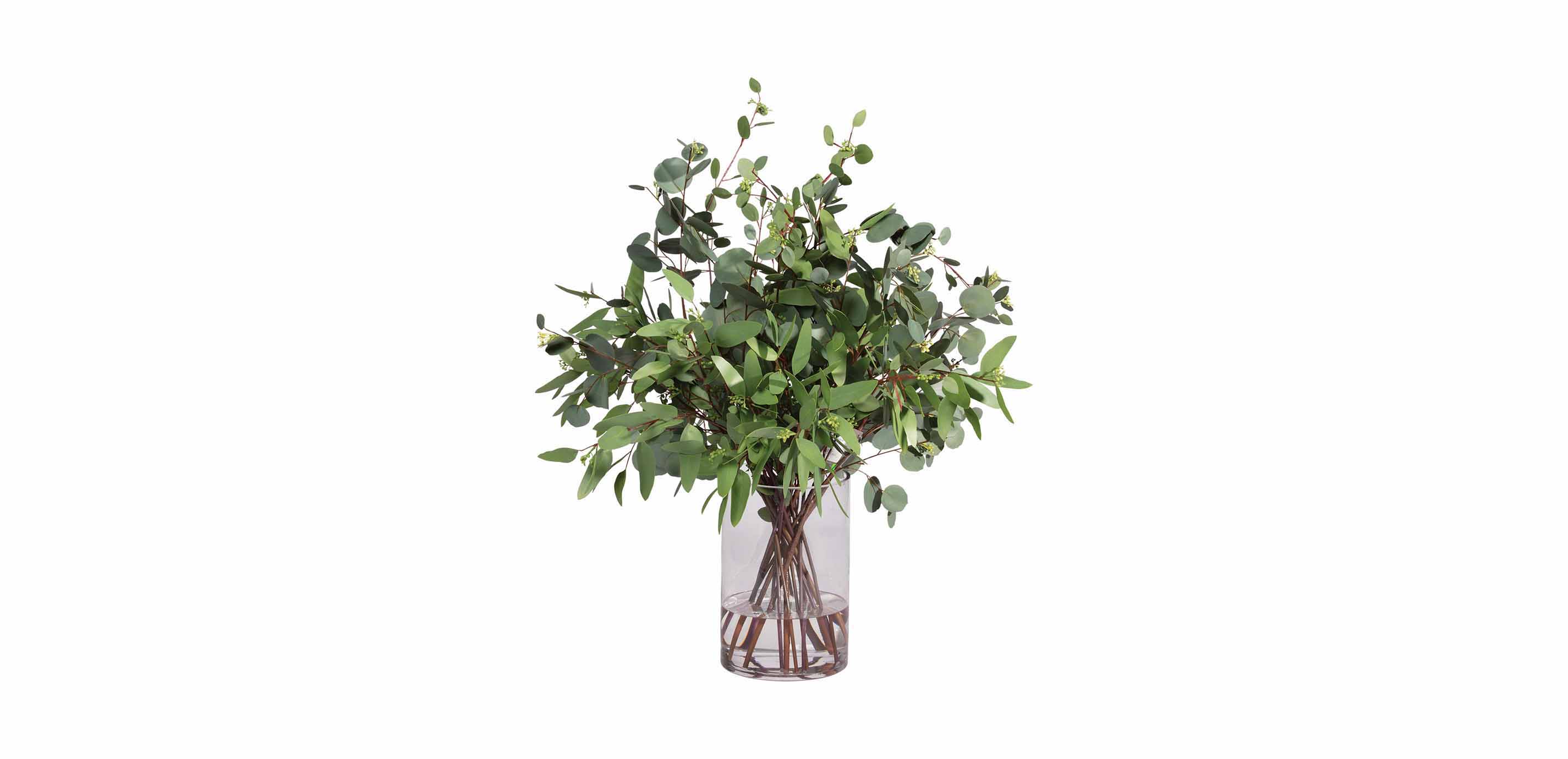 Eucalyptus In Vase Faux Eucalyptus In Glass Vase Ethan Allen