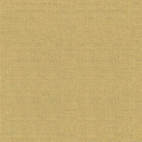 Baxter Beige Fabric by the Yard