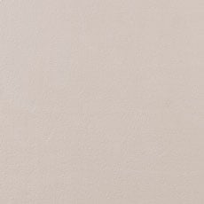 Bisque swatch Pleasantville Rug