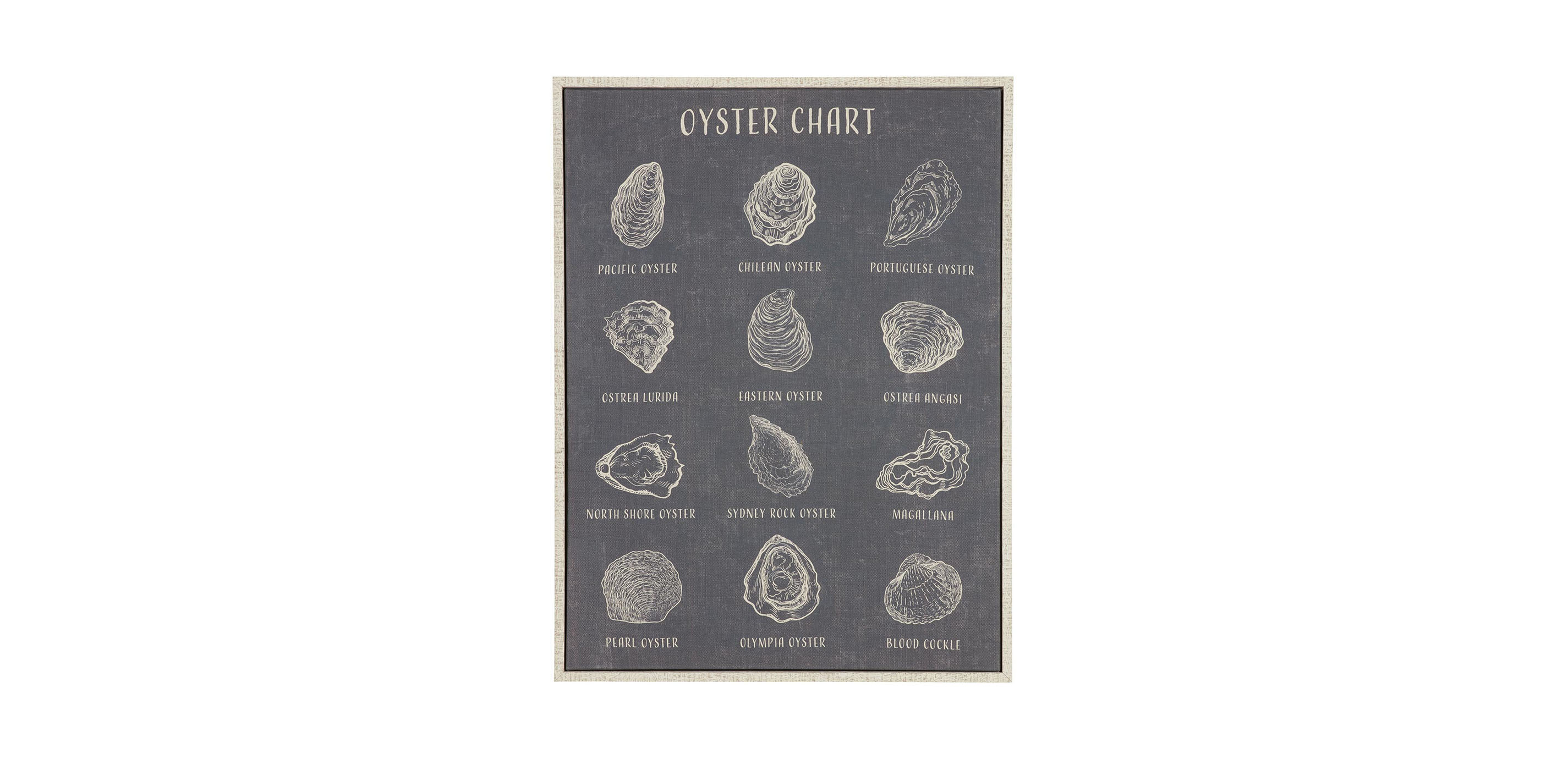 Oyster Chart Oyster Wall Art Ethan Allen