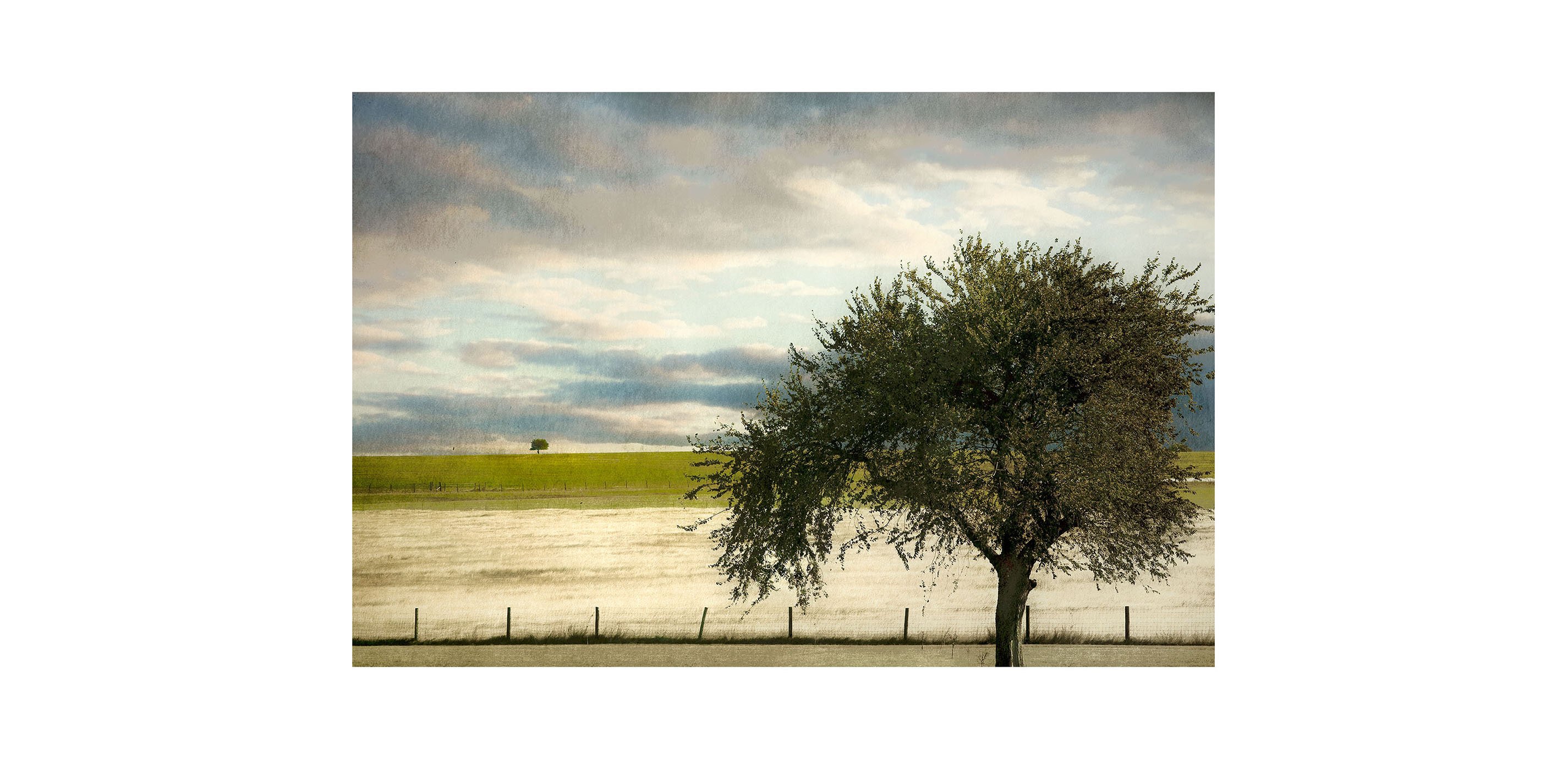 Big tree little tree ethan allen
