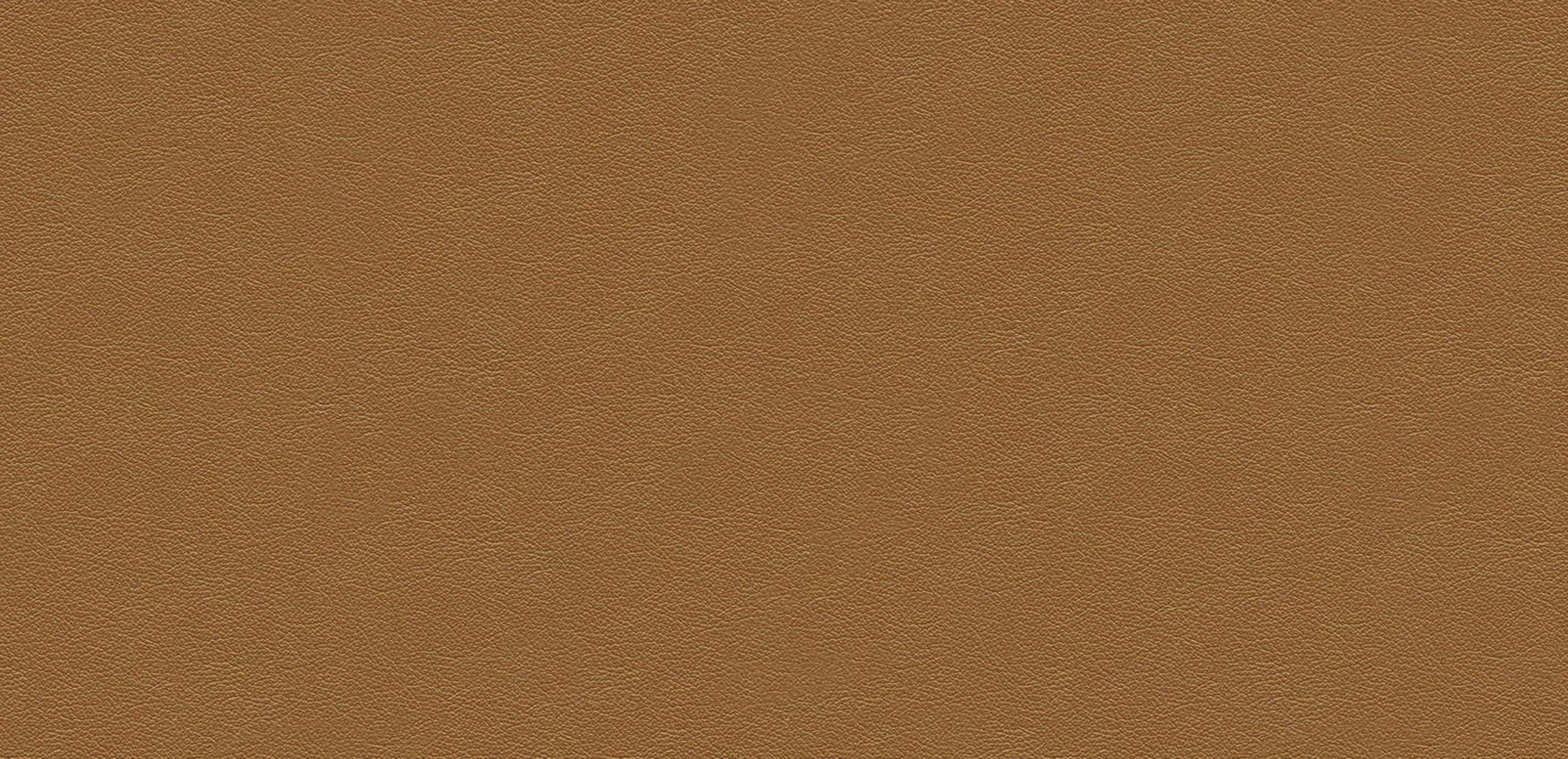 Sherwood Camel Leather Swatch Ethan Allen