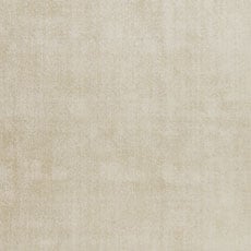 Vanilla swatch Demarest Rug