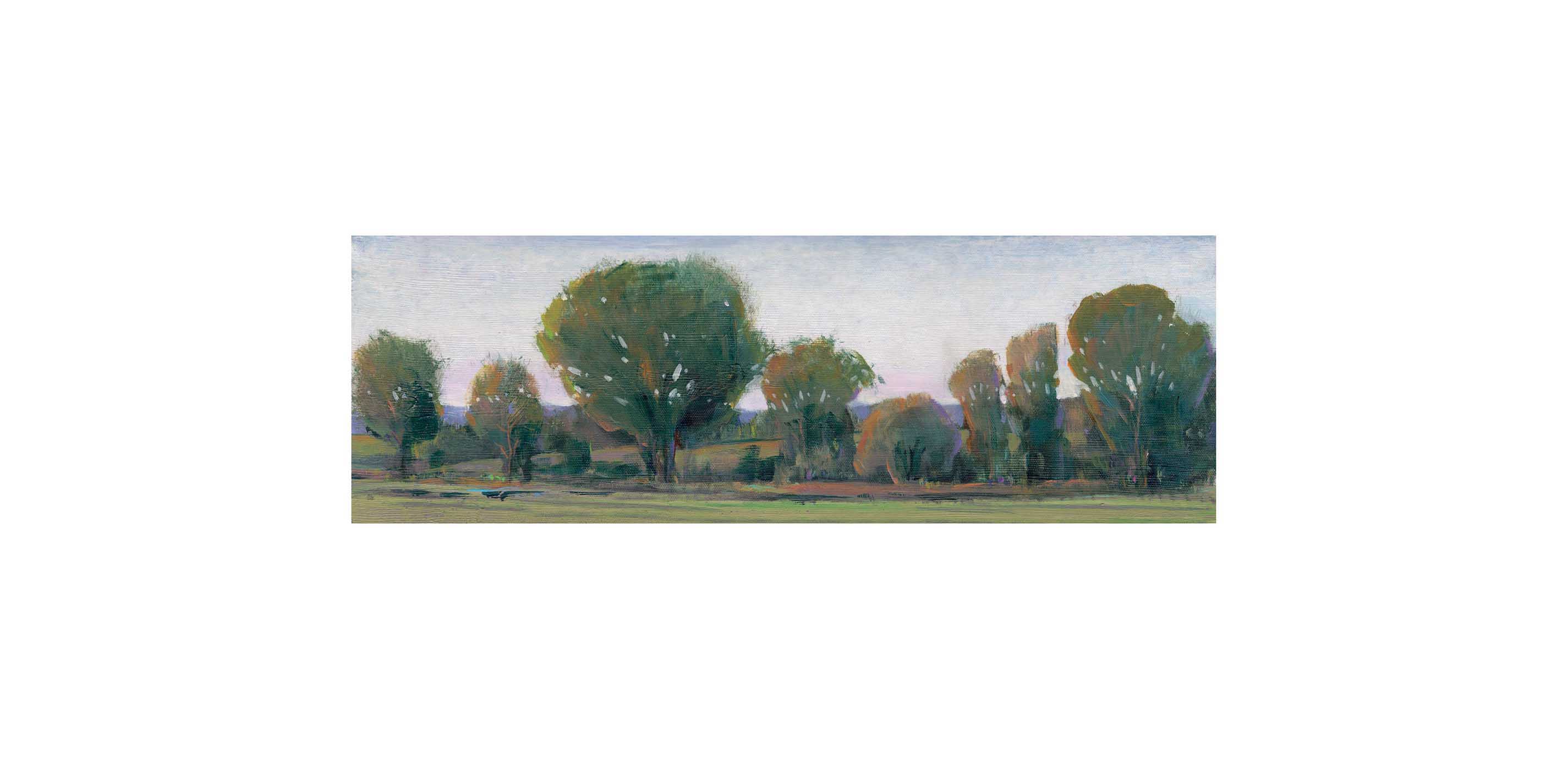 mobile primary image
