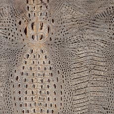 Bayou Latte (L7076) Leather: textured embossed leather swatch Bayou Leather
