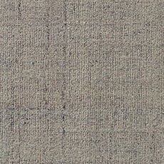 Ravine swatch Carlita Rug