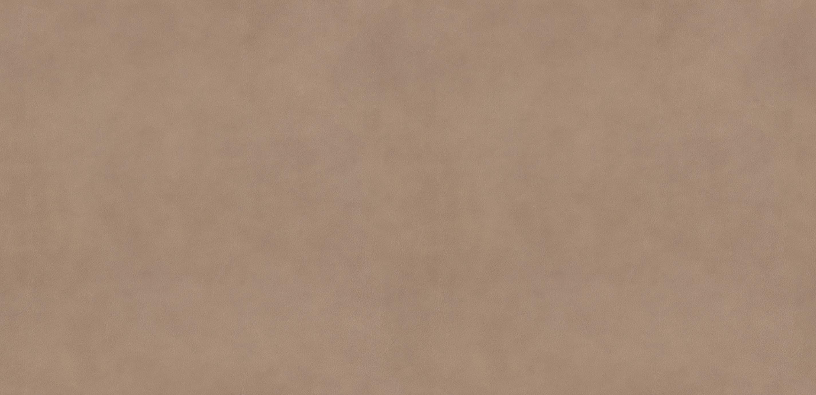 mobile primary image