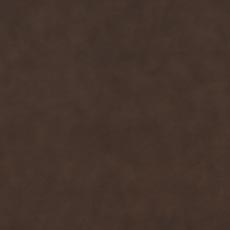 Burbank Sienna (L5979) Leather,smooth pigmented two-tone leather swatch Hutton Leather Camelback Sofa