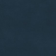 Rodeo Ink (L5689) Leather: distressed pigmented two-tone leather swatch Rodeo Leather