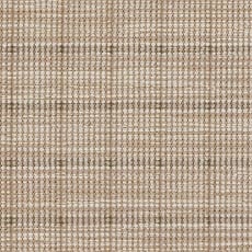 Presley swatch Thaddeus Rug