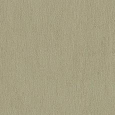 Kindle Sage (60523): lush chenille solid swatch Kindle Fabric