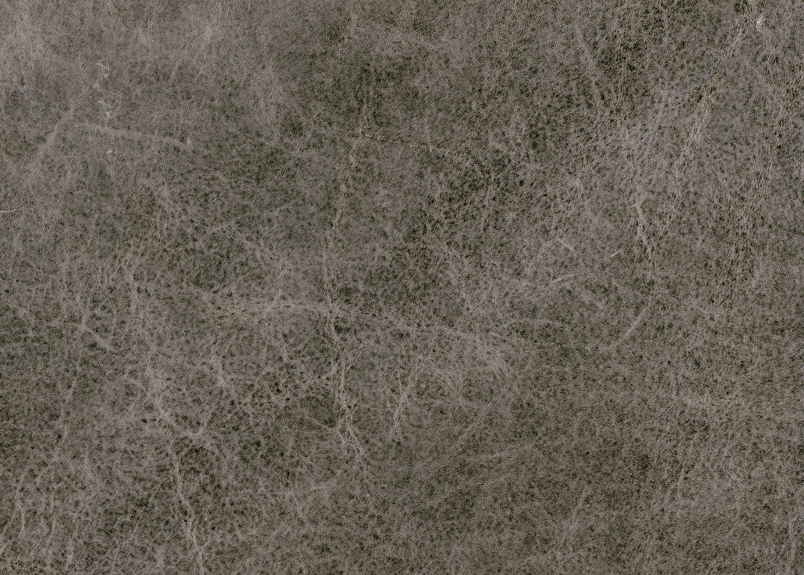 Astor Gray Leather Swatch Ethan Allen