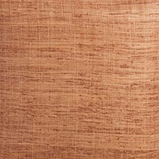 Terracotta swatch Raw Silk Pillow