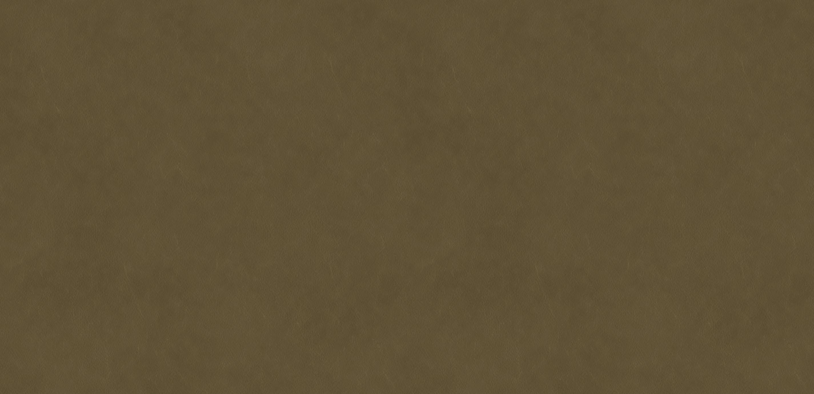 mobile primary image