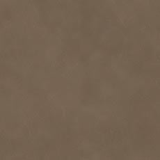 Nomad Latte (L6376) Leather, modern aniline matte finish leather swatch Nomad Leather
