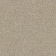 Cove Oatmeal (P3233): indoor outdoor casual woven swatch Cove Fabric
