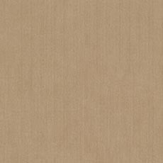 Knox Camel (67271): textured woven solid swatch Knox Fabric