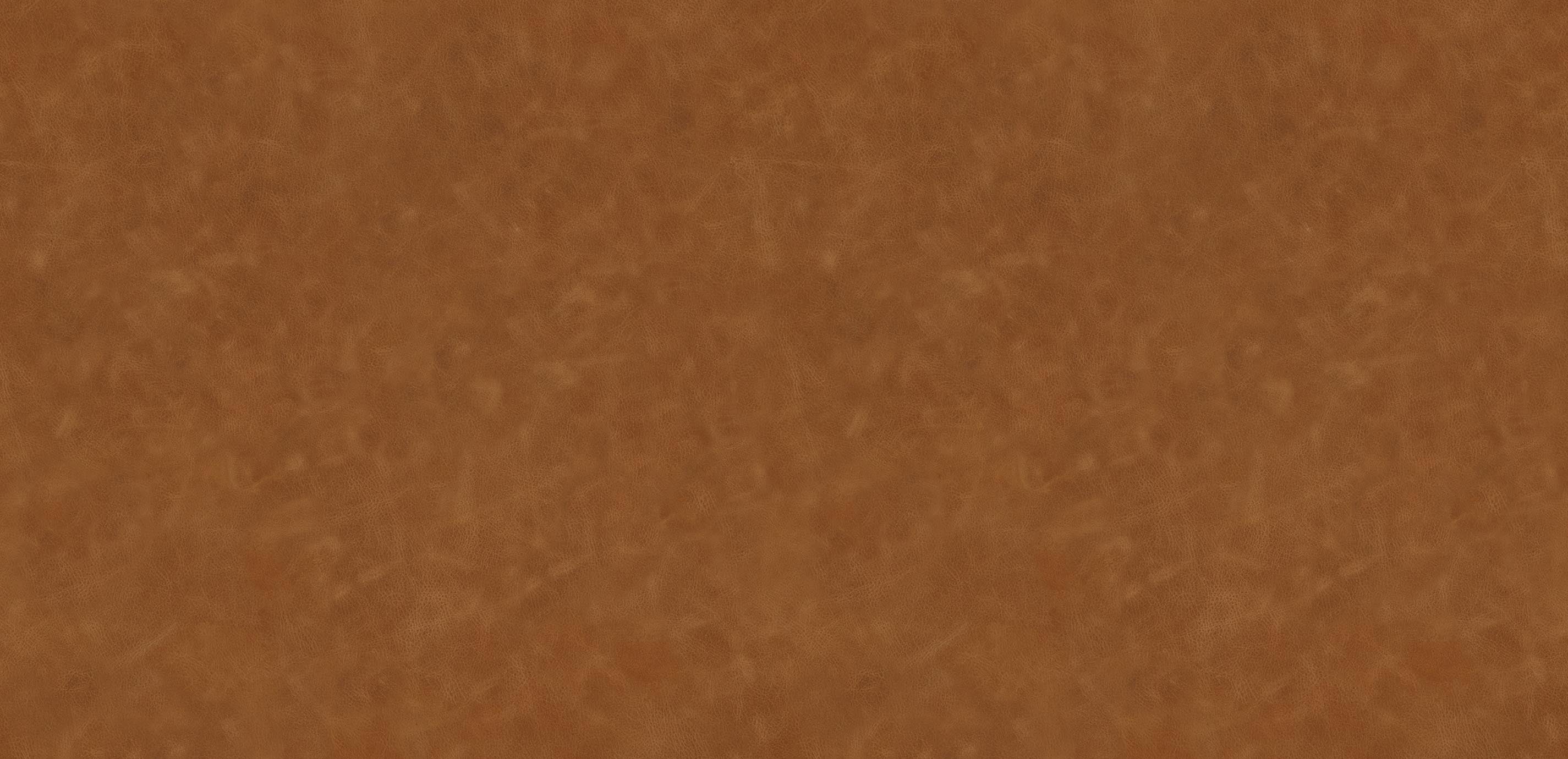 mobile primary image