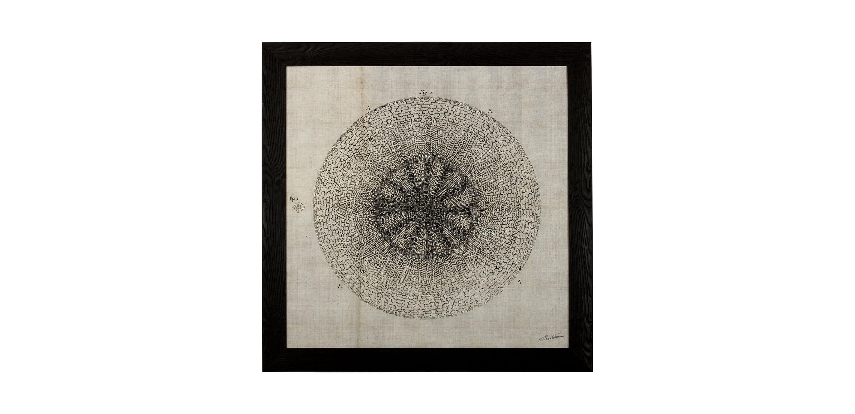 牛の絵　ETHAN ALLEN 　アンティーク風　ビンテージ Cross Cut II | Nature | Ethan Allen
