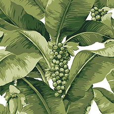 Green/White swatch Jenny Floral Wallpaper