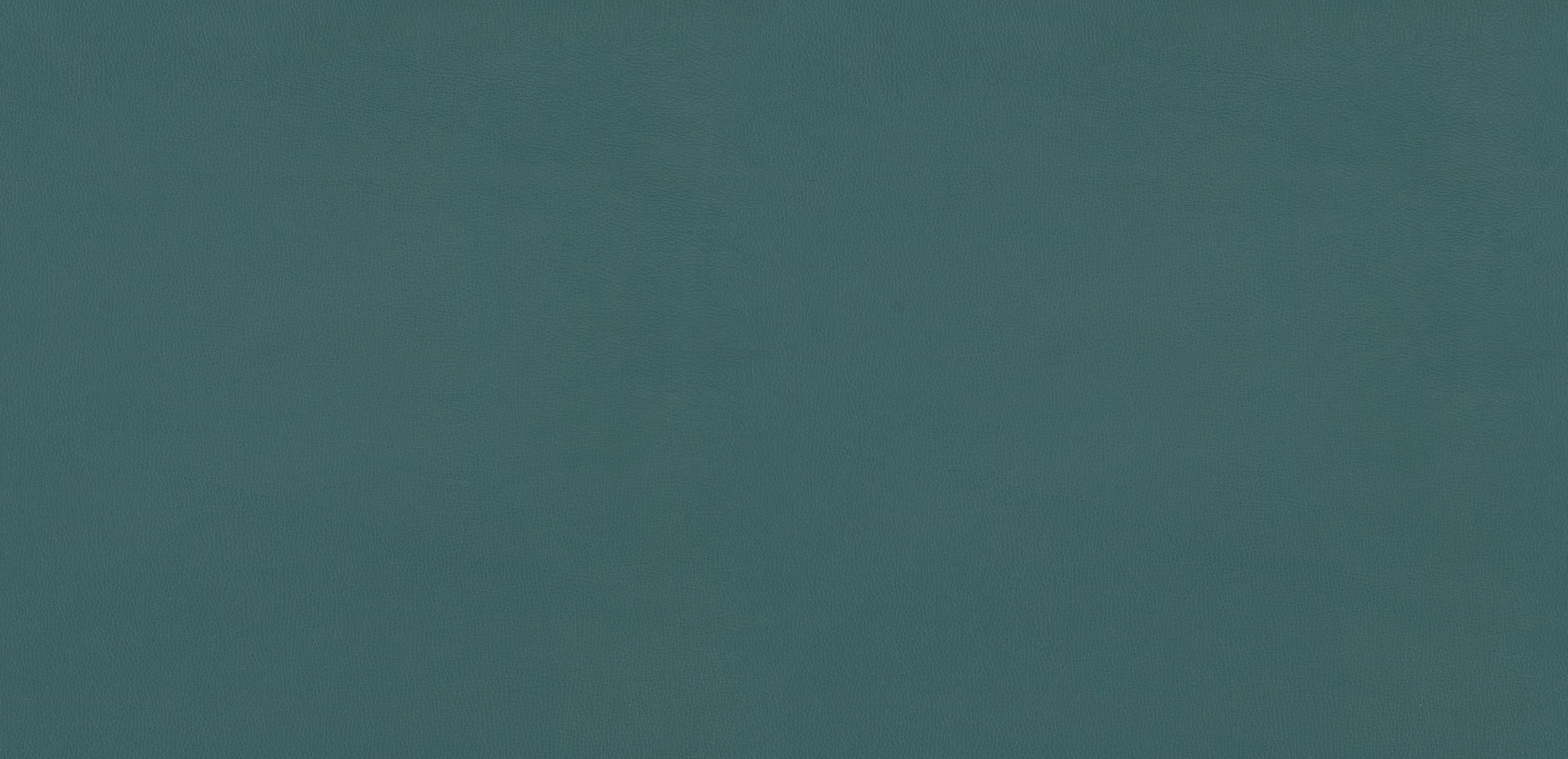 mobile primary image