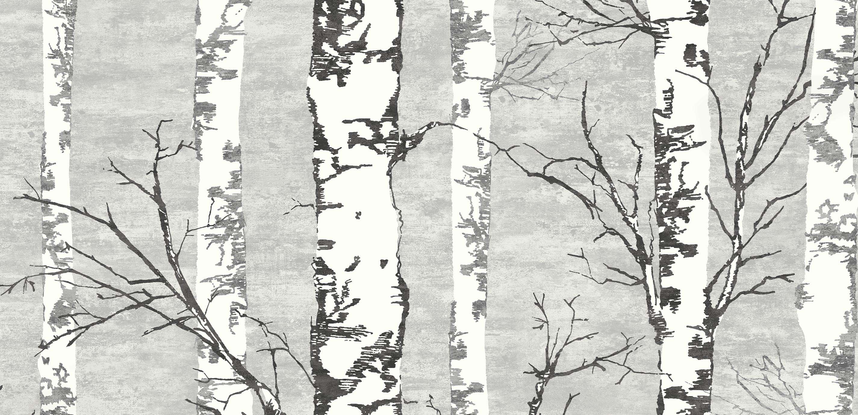 Birch Tree Trunks Mural  Birch Trees Wallpaper - Murals Your Way