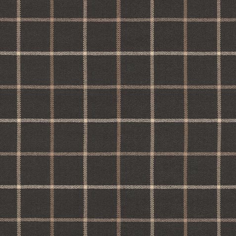 Thornhill Charcoal Swatch