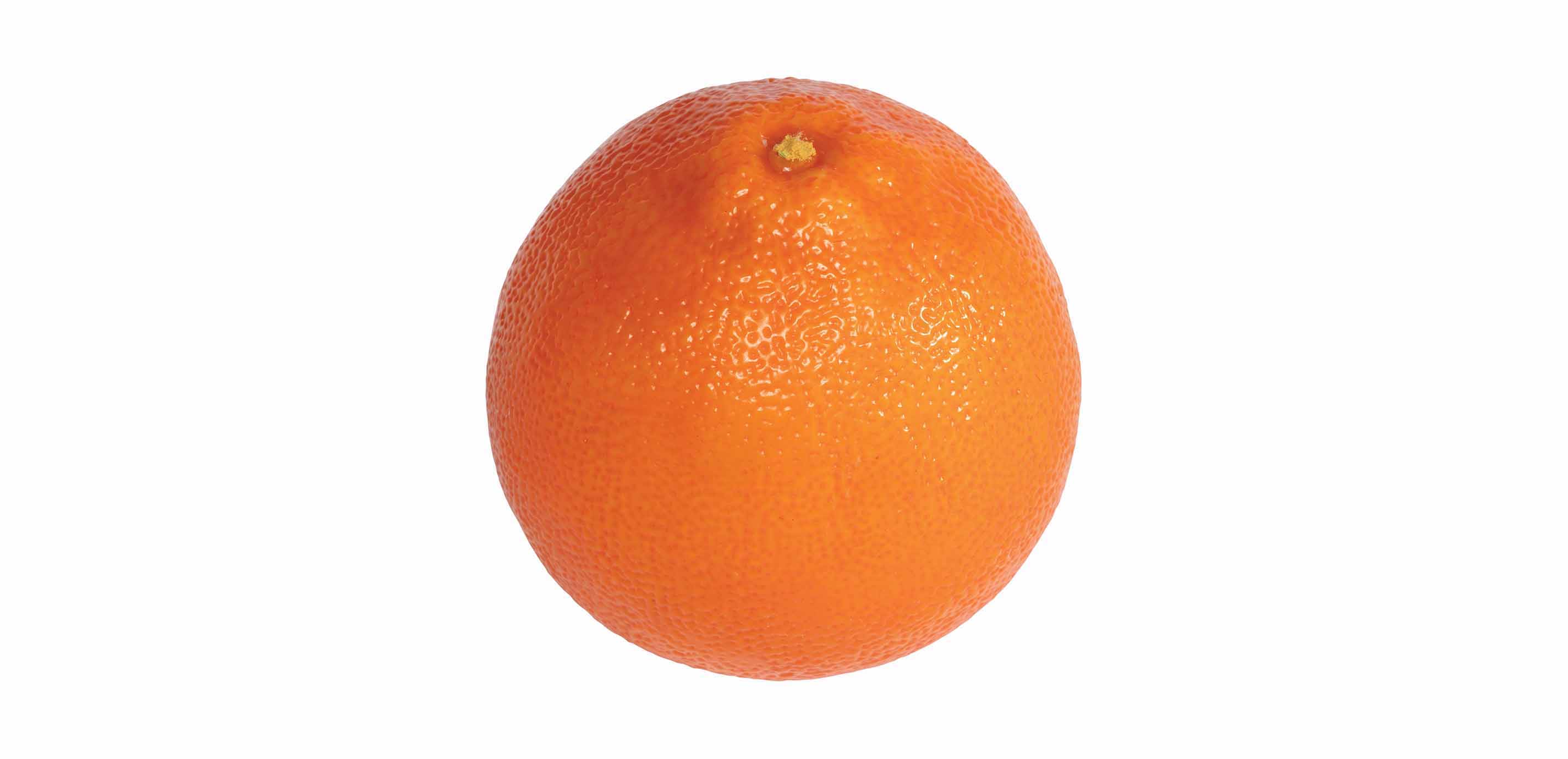 Decorative Oranges Faux Oranges Artificial Oranges Ethan Allen