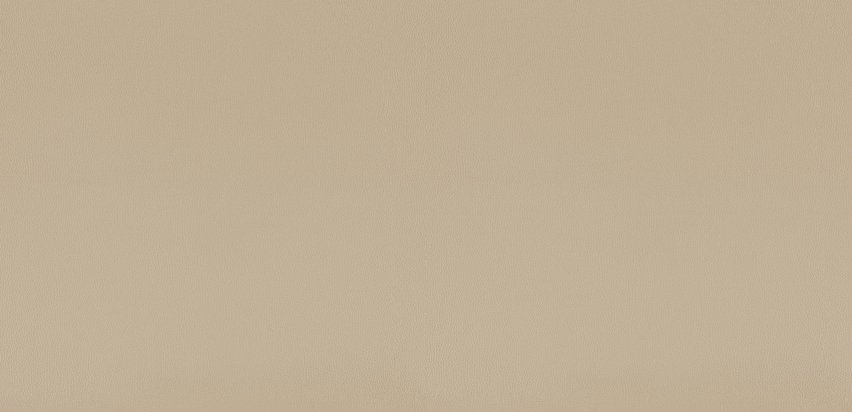 Odessa Parchment Leather Swatch Ethan Allen