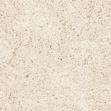 Ivory swatch Galleria Shag Rug