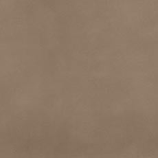 Sonora Bone (L9436) Leather, highly lustrous semi-aniline two-tone leather swatch Sonora Leather