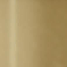 Champagne (10C): Brass finish with warm gold tones and a subtle sheen over mild steel. swatch Clarksburg Open Modular Display Bookcase