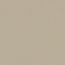 Cove Ivory (P3232): indoor outdoor casual woven swatch Cove Fabric