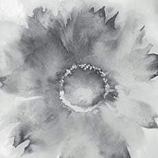 Gray swatch Seward Winter Wallpaper