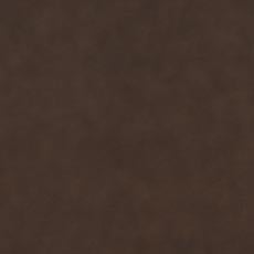 Burbank Sienna (L5979) Leather,smooth pigmented two-tone leather swatch Winslet Leather Side Chair