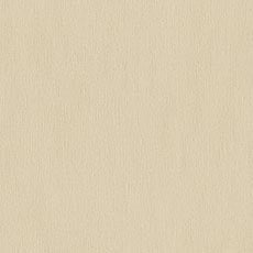 Kindle Ivory (60532): lush chenille solid swatch Kindle Fabric