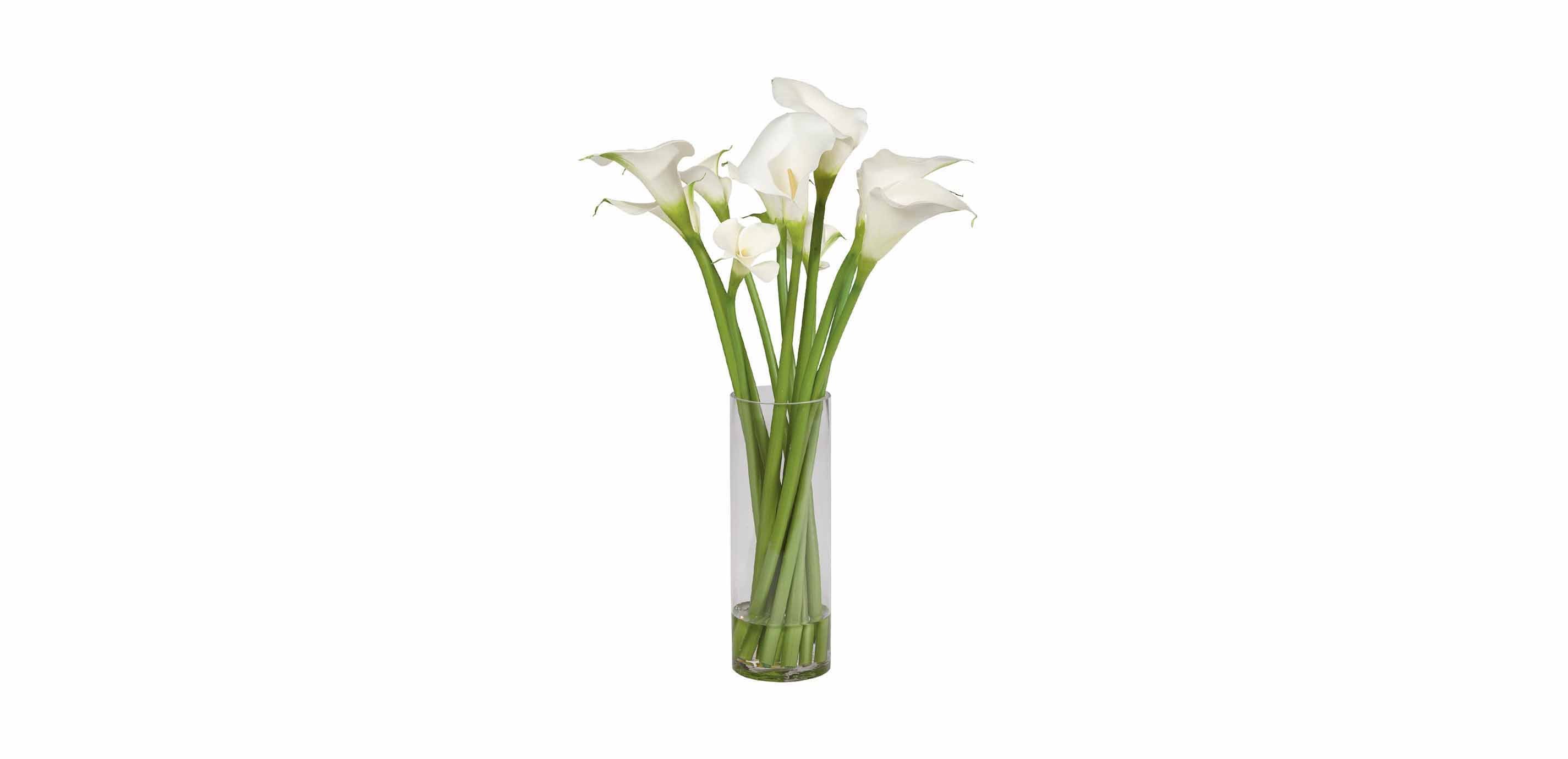 Calla Lily Tall Arrangement | FLORALS & TREES | Ethan Allen