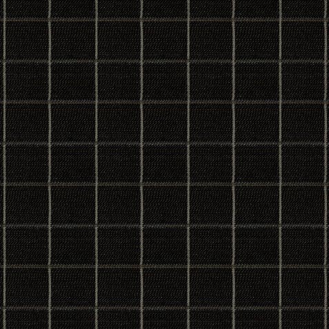Cagney Graphite Swatch