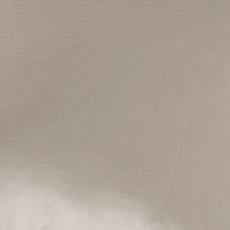 Taupe swatch Salena Square Pillow